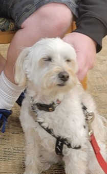 The People We’ve Met Along the Way: Reflections from Ross’ Uveal Melanoma&nbsp;Journey